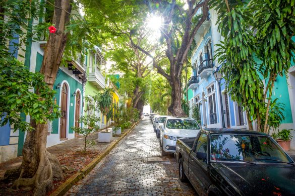 Beautiful street full of trees in old San Juan, Puerto Rico Will It Be The Same?