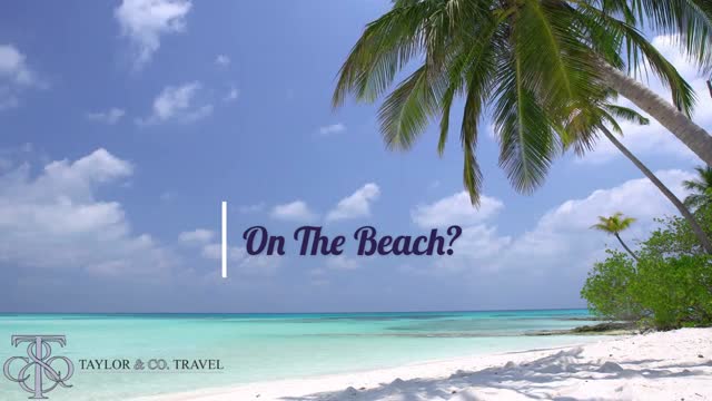 taylor-and-co-travel-mp4